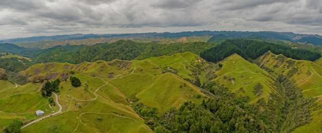 240 Agnews Road Hunterville_1