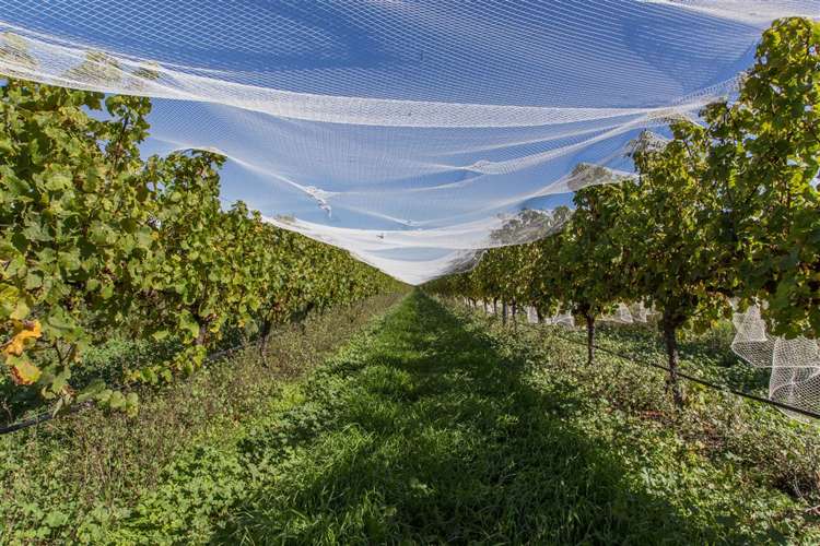 73 Mackenzies Road Waipara_17