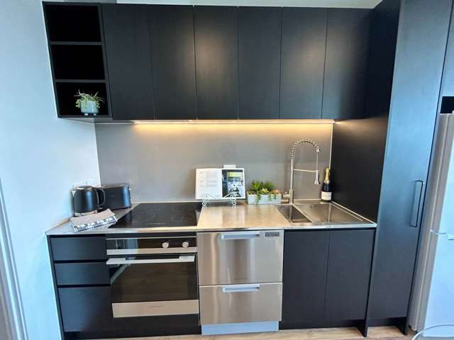 BRAND NEW Furnished One bedroom with Balcony w...