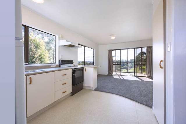 164 Kennedy Road Dairy Flat_1