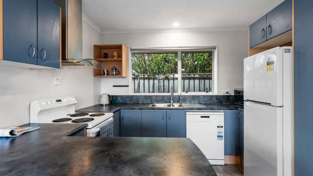 11B Albert Street Pukekohe_3