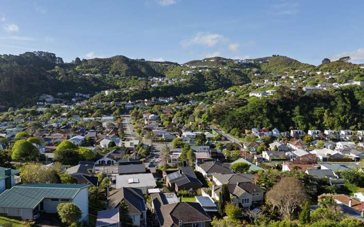 15 Collier Avenue Karori_13