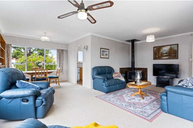 10 Tomlinson Street Hillpark_2