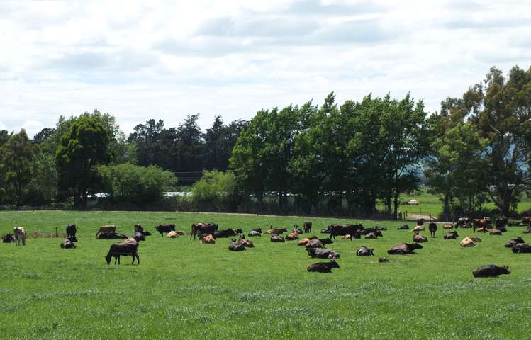 1402 Limehills Browns Road Winton Surrounds_14