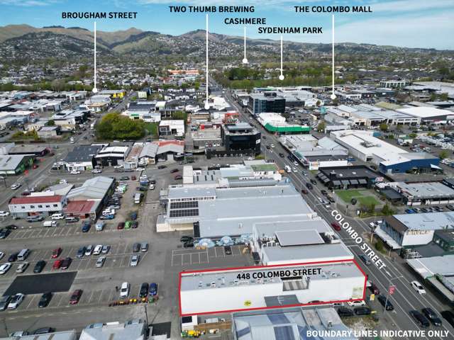 448 Colombo Street Sydenham_2