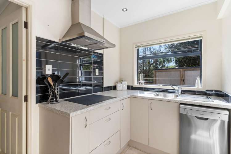 28 Carlton Street Hillsborough_21