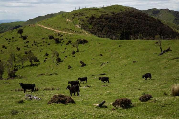 15 Hinerua Road Ongaonga_17