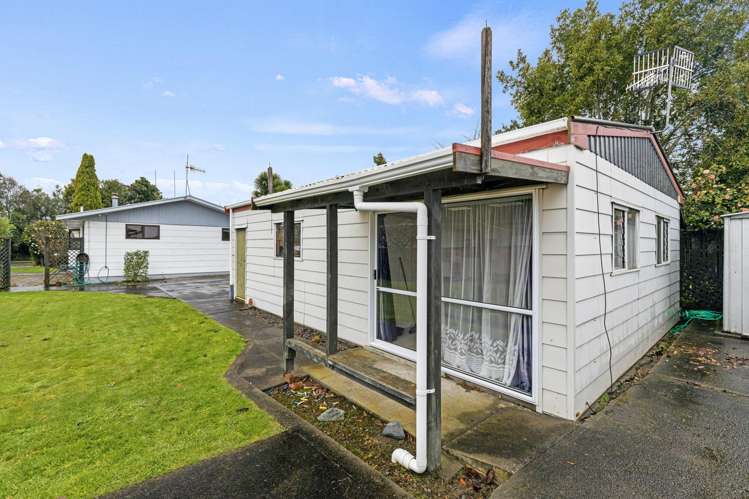 7 Pain Street Bulls_17