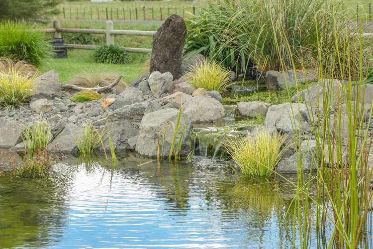 4 Barry Lane Te Aroha_14