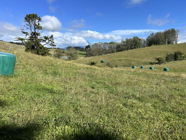 Near 741 Upland Road Egmont Village_7