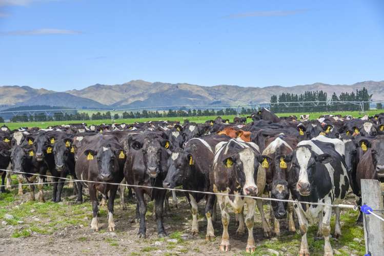 106 Rotherham Road South Culverden_14