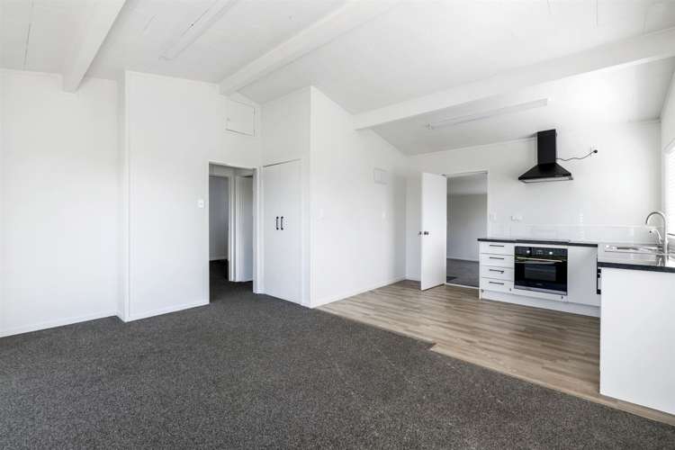 176a Boucher Avenue Te Puke_1