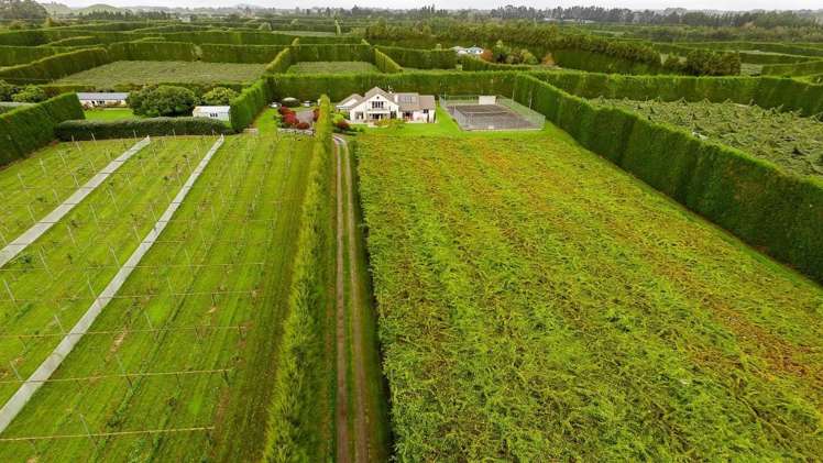 872a Oropi Road Oropi_5