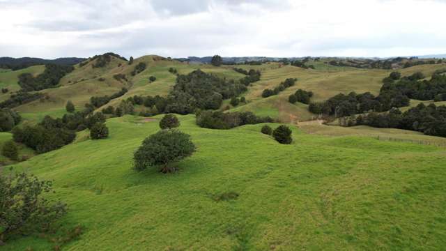 Pikiwahine Road Mangapai and Surrounds_2