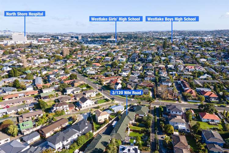 3/120 Nile Road Milford_13