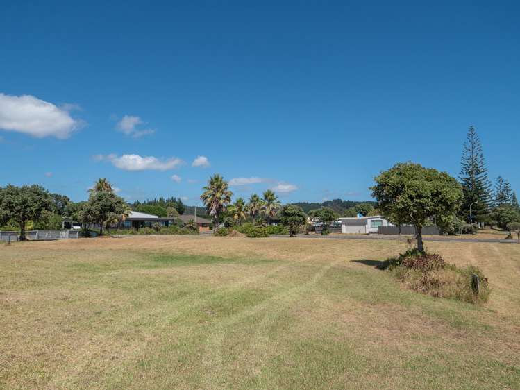 18 Flame Tree Lane Taipa_8