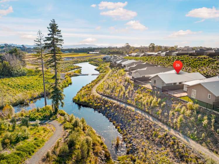 26 Kauri Lane Omokoroa_0