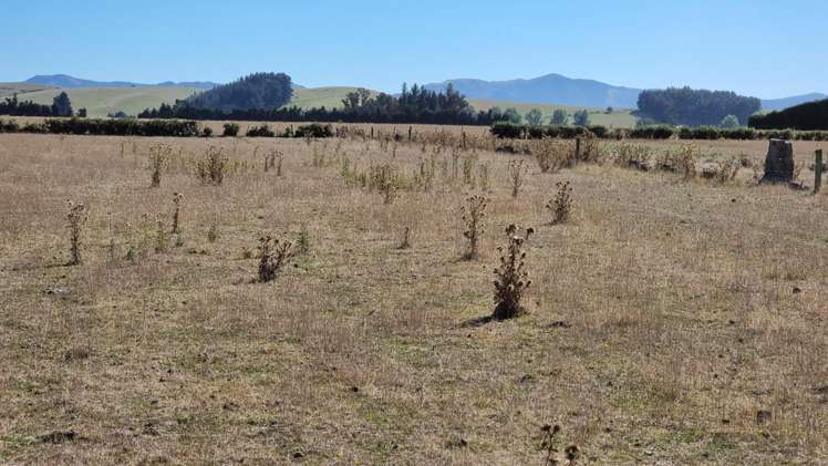 128 Terrace Road Cust_8