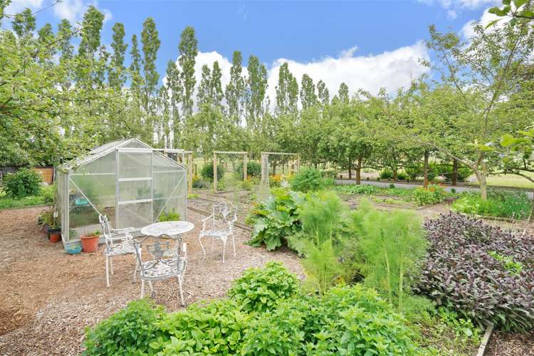 923 Downs Road West Eyreton_24