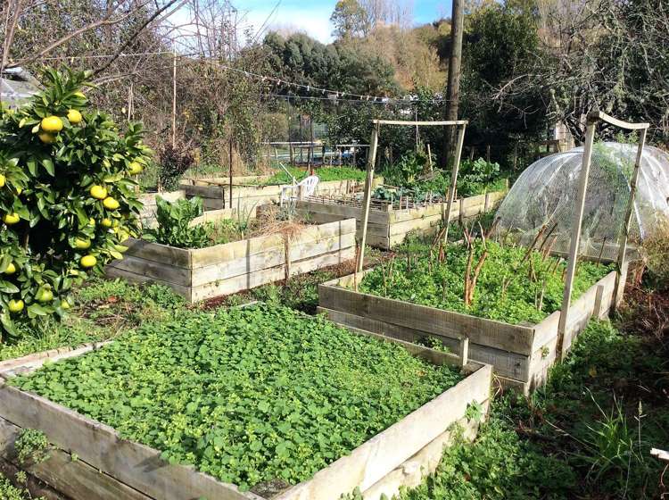 29 Bruce Street Hunterville_12