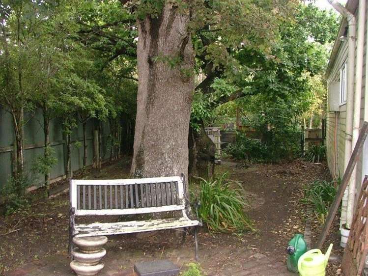 38 West Street Whitecliffs_7