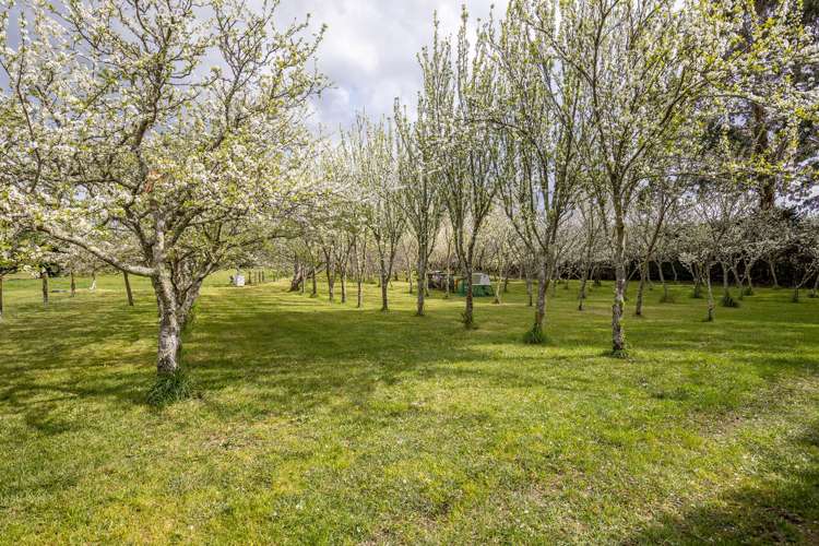 105 River Road Appleby_19