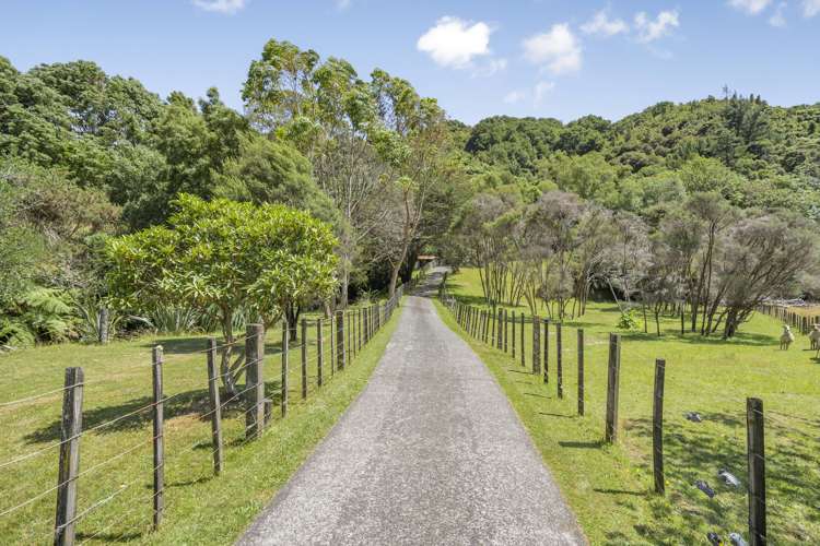 151 Moores Valley Road Wainuiomata_1