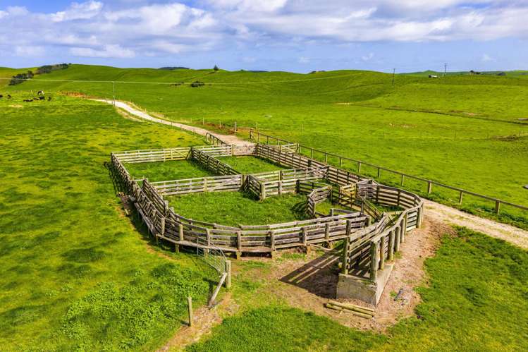 780 Te Maire Road Te Kopuru_11