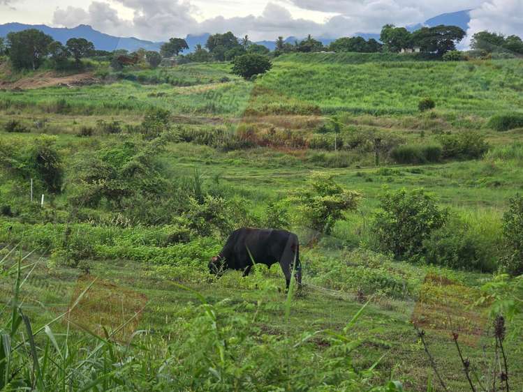 Address withheld Sonaisali_14