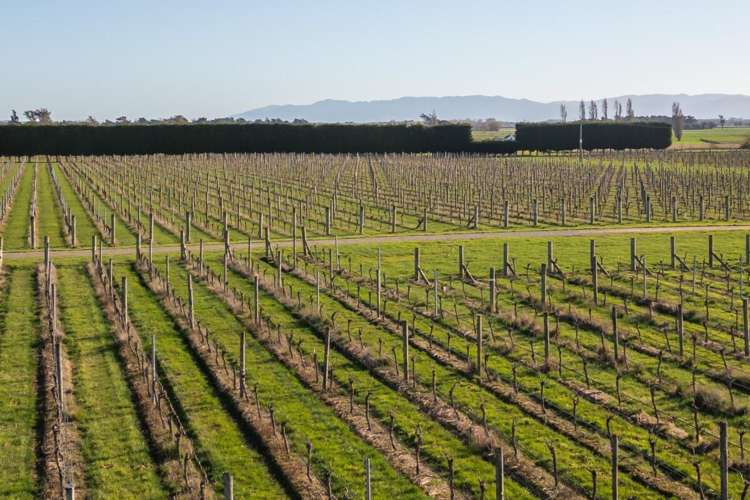 68 Weld Street Hokitika_11