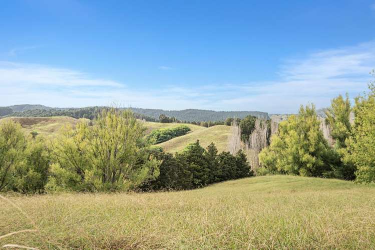 Kirikopuni Road Parakao_11