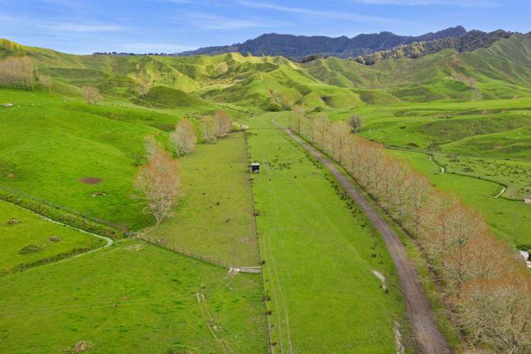 486 Ngatarawa Road Mahoenui_20