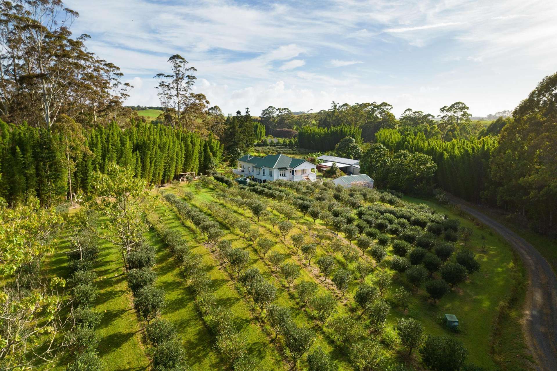 70 Pukeko Lane Kerikeri_0