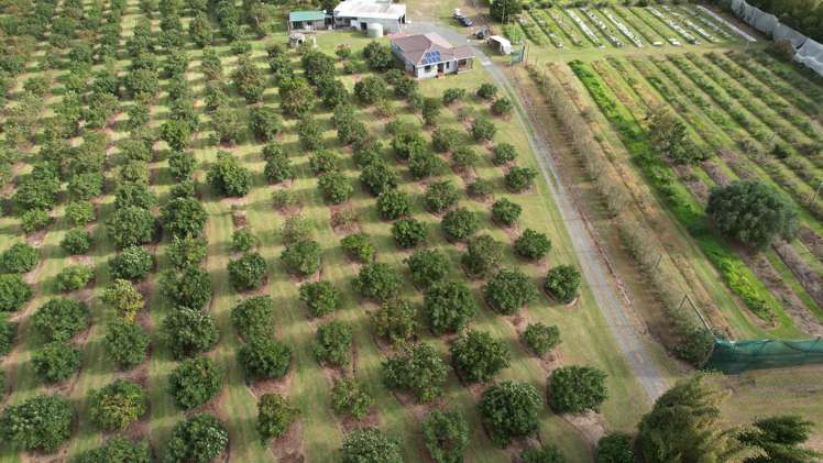 362 Kaimaumau Road Awanui_5