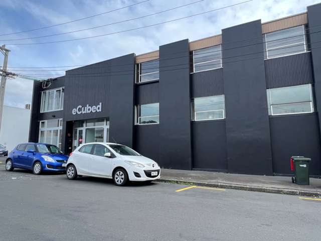 14 Akepiro Street Mt Eden_4