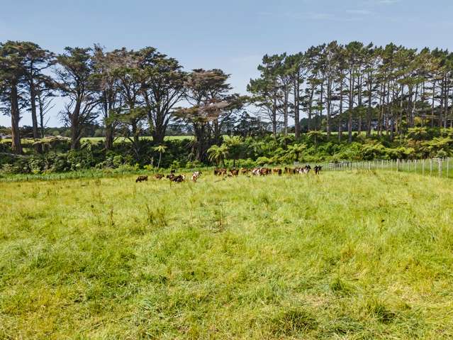 177A Mid Puniho Road Sections Warea_1