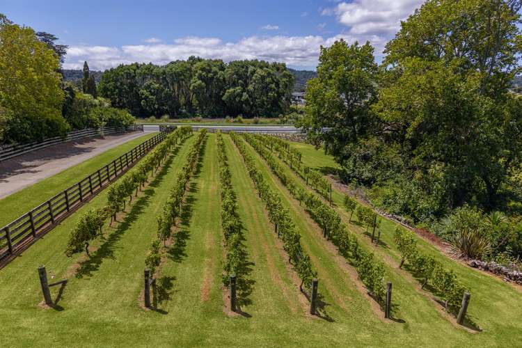 583 State Highway 16 Kumeu_31