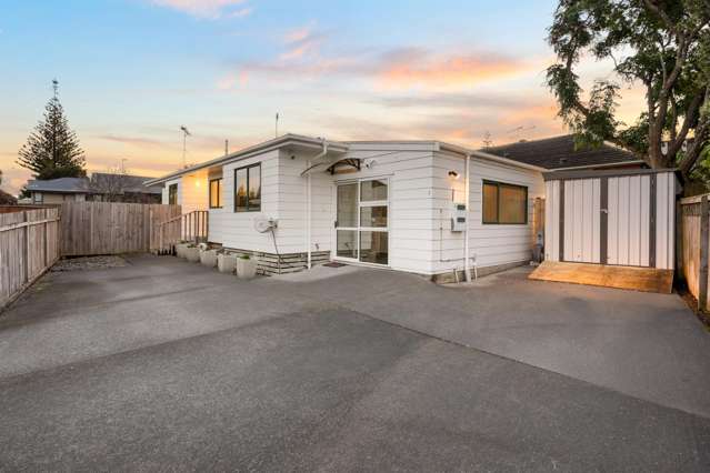 2B Kay Road Panmure_2
