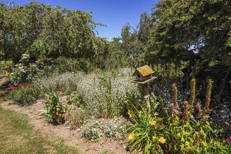 333 Munro Road Cheviot_31