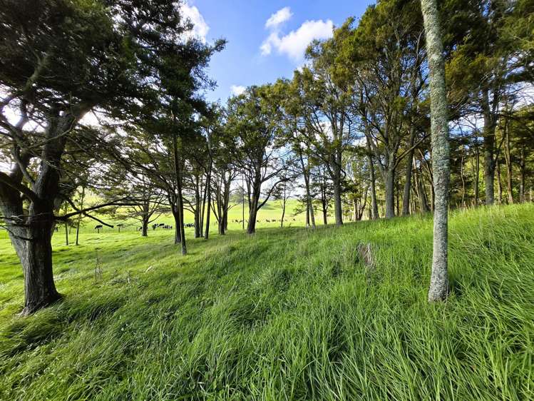 Lot Lot 3 Sills Road Dargaville_10