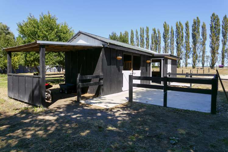 175 Tiverton Downs Road Broadlands_17