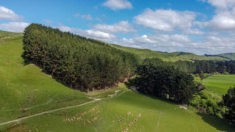 1614 Hinemoa Valley Road Pahiatua_8