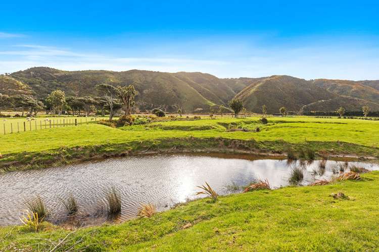 940 Pencarrow Coast Road Pencarrow Head_7