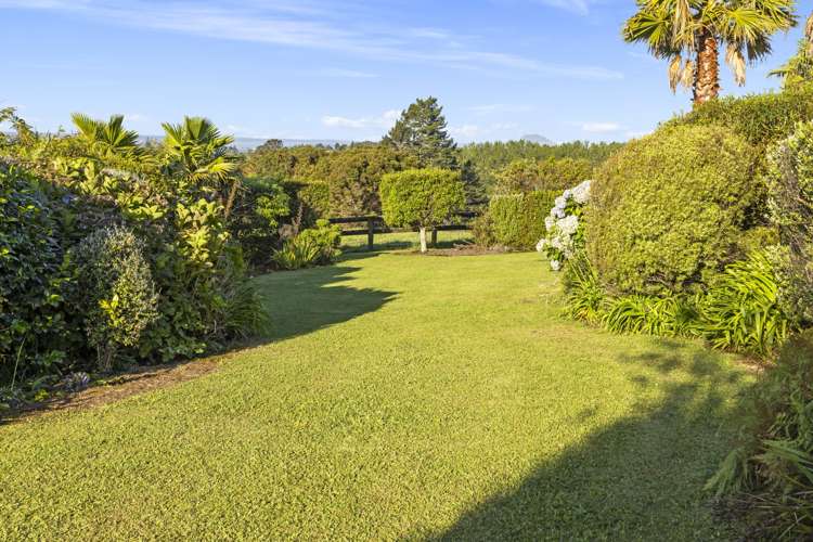 236A Tim Road Whakamarama_27