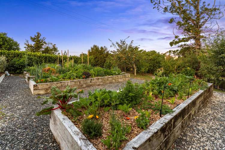 138 Mahurangi West Road Mahurangi West_31