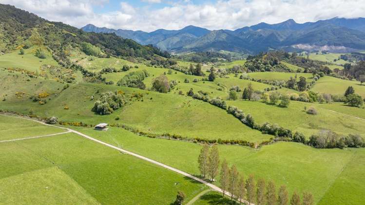 98 Thorpe-Orinoco Road Ngatimoti_29