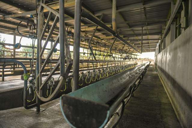 139 Waituti Road and 267 Port Molyneux Road Kaka Point_3