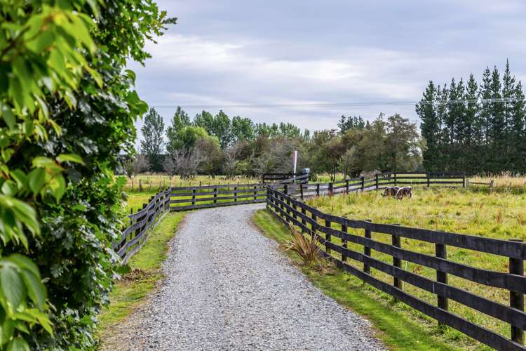 498 Park Road Carterton_2