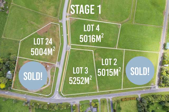 407 Tararua Road Levin_2