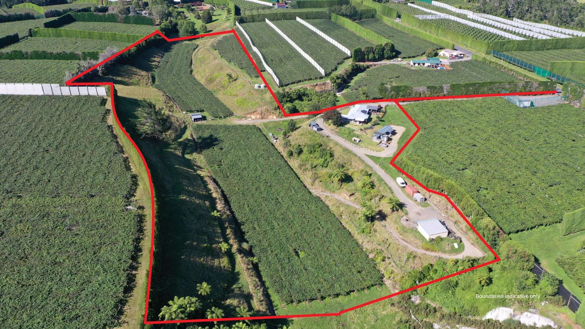 617 No 2 Road Te Puke_0